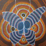 Butterfly blue orange13